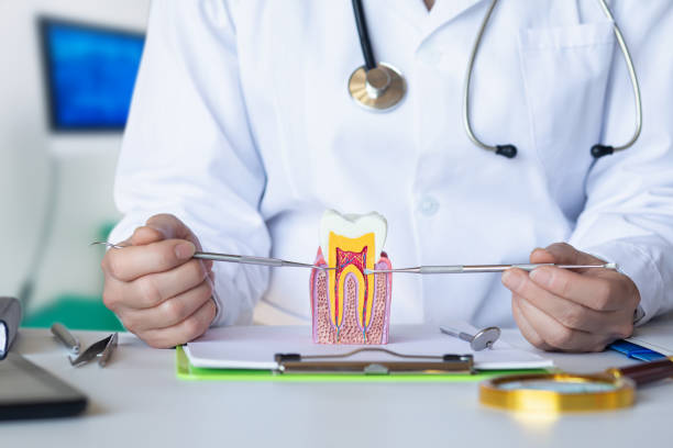 Best Emergency Tooth Extraction in Ozk, AR